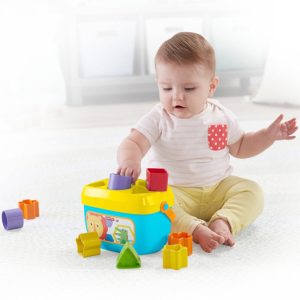 Cesta com Blocos de Construção Fisher-Price FFC84 5 Peças 10 Peças