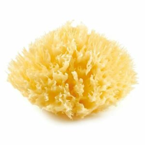 Esponja Corporal ThermoBaby Amarelo