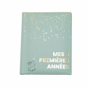 Álbum Domiva Mes 5 premieres annees